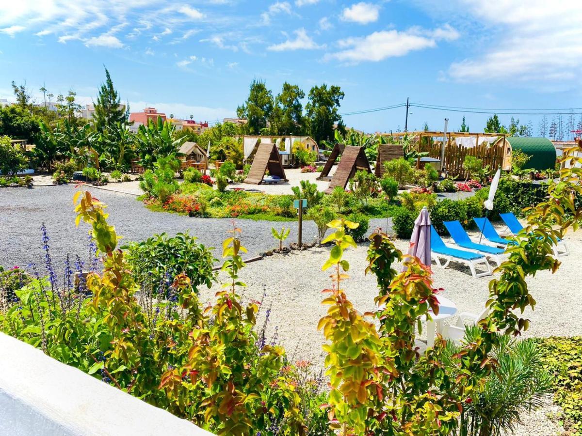 Arrebol Suite Con Jacuzzi, Piscina Y Naturaleza Buzanada Eksteriør bilde