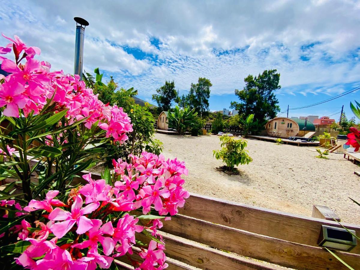 Arrebol Suite Con Jacuzzi, Piscina Y Naturaleza Buzanada Eksteriør bilde